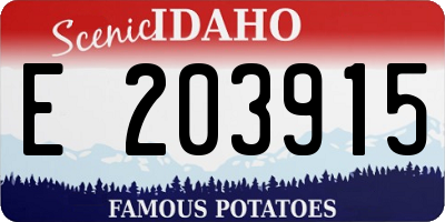 ID license plate E203915