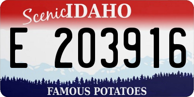 ID license plate E203916