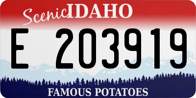 ID license plate E203919