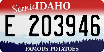 ID license plate E203946