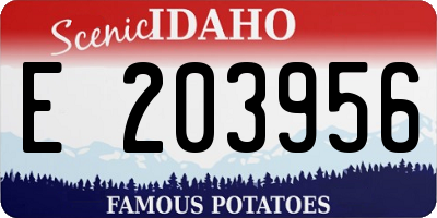 ID license plate E203956