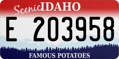 ID license plate E203958