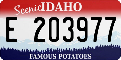 ID license plate E203977
