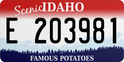 ID license plate E203981