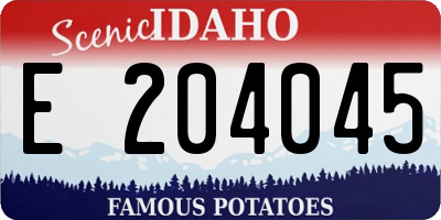 ID license plate E204045