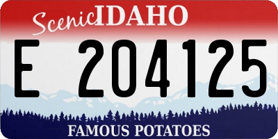 ID license plate E204125