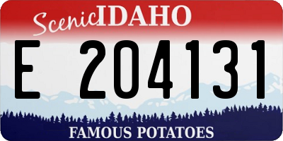 ID license plate E204131
