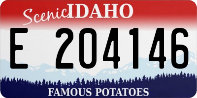 ID license plate E204146