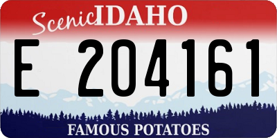 ID license plate E204161