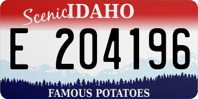 ID license plate E204196
