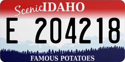 ID license plate E204218