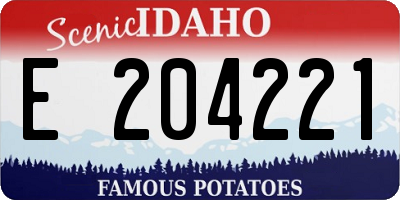 ID license plate E204221