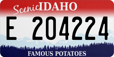 ID license plate E204224
