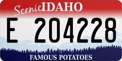 ID license plate E204228