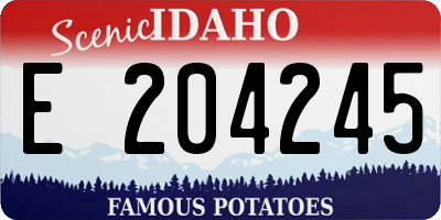 ID license plate E204245