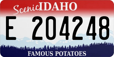 ID license plate E204248