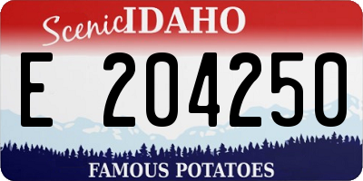 ID license plate E204250