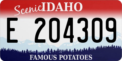 ID license plate E204309