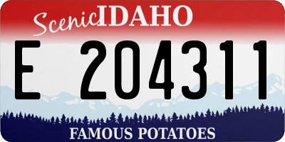 ID license plate E204311
