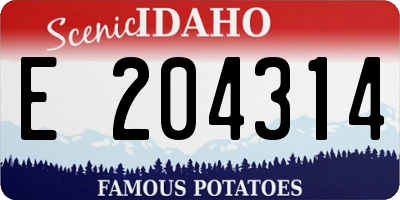 ID license plate E204314