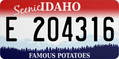 ID license plate E204316