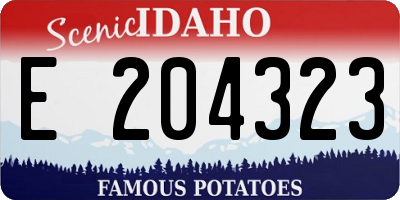 ID license plate E204323
