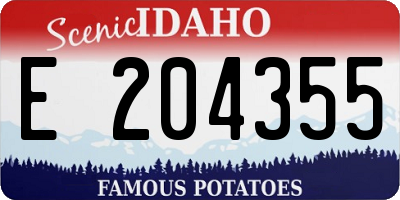 ID license plate E204355