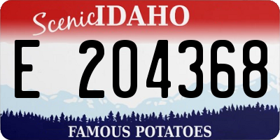 ID license plate E204368