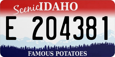 ID license plate E204381