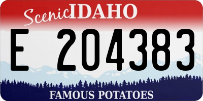 ID license plate E204383