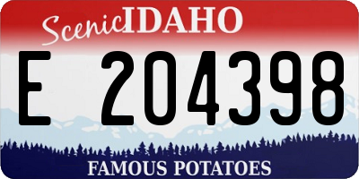 ID license plate E204398