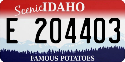ID license plate E204403