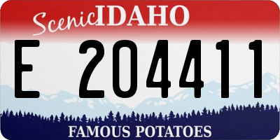 ID license plate E204411