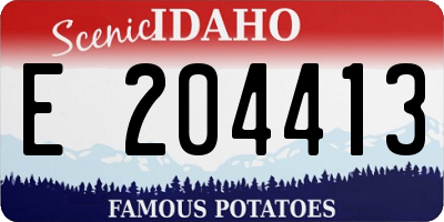 ID license plate E204413