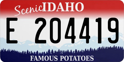 ID license plate E204419