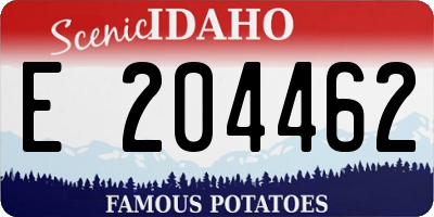 ID license plate E204462