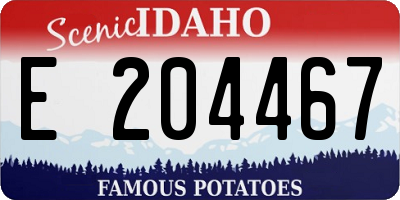 ID license plate E204467