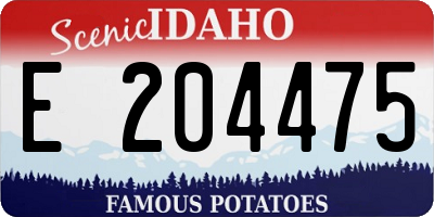 ID license plate E204475