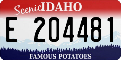 ID license plate E204481