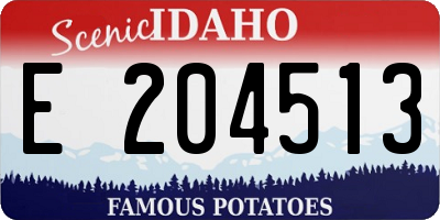 ID license plate E204513