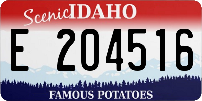 ID license plate E204516