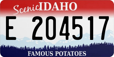ID license plate E204517