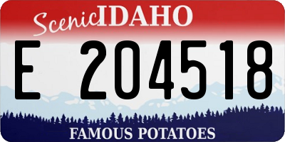 ID license plate E204518