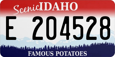 ID license plate E204528