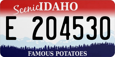 ID license plate E204530