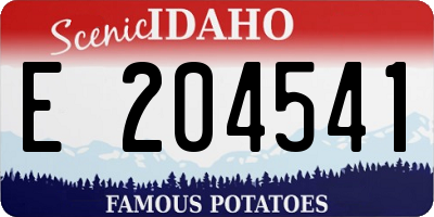 ID license plate E204541