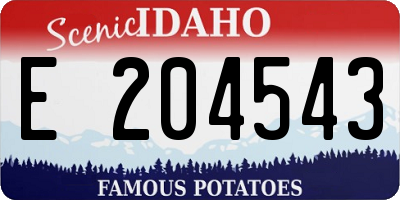 ID license plate E204543