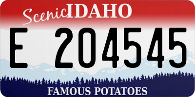 ID license plate E204545