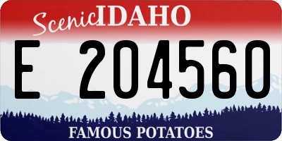 ID license plate E204560