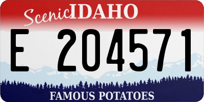 ID license plate E204571